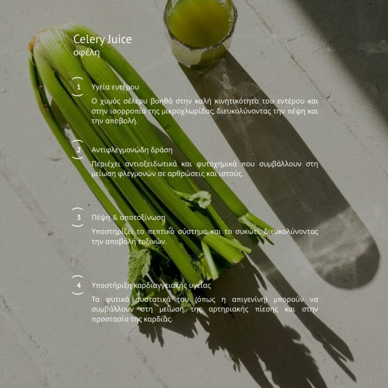 Mindpad Wellness Journal - Lily Efthymiou - Image3