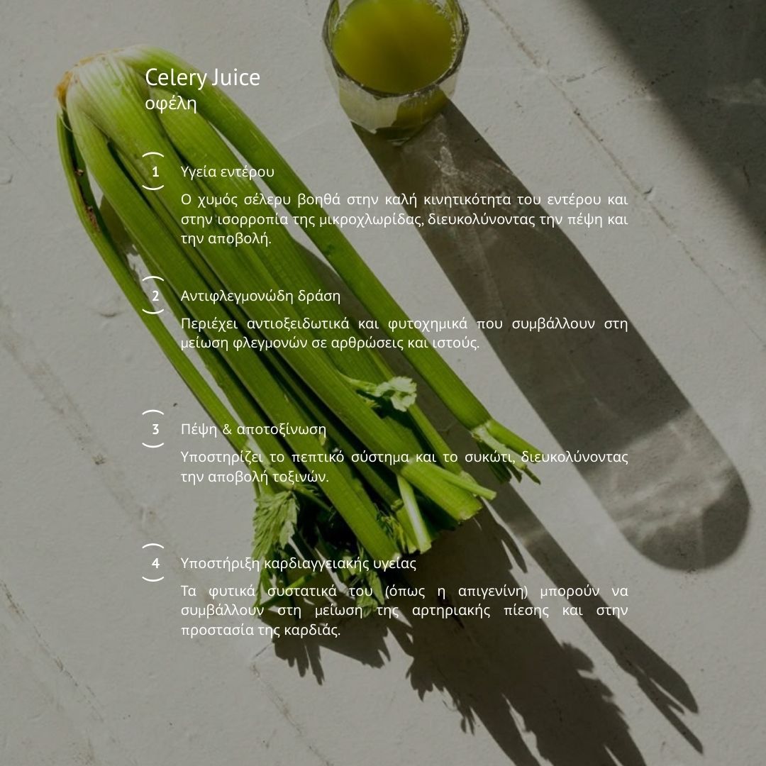 Mindpad Wellness Journal - Lily Efthymiou - Image3